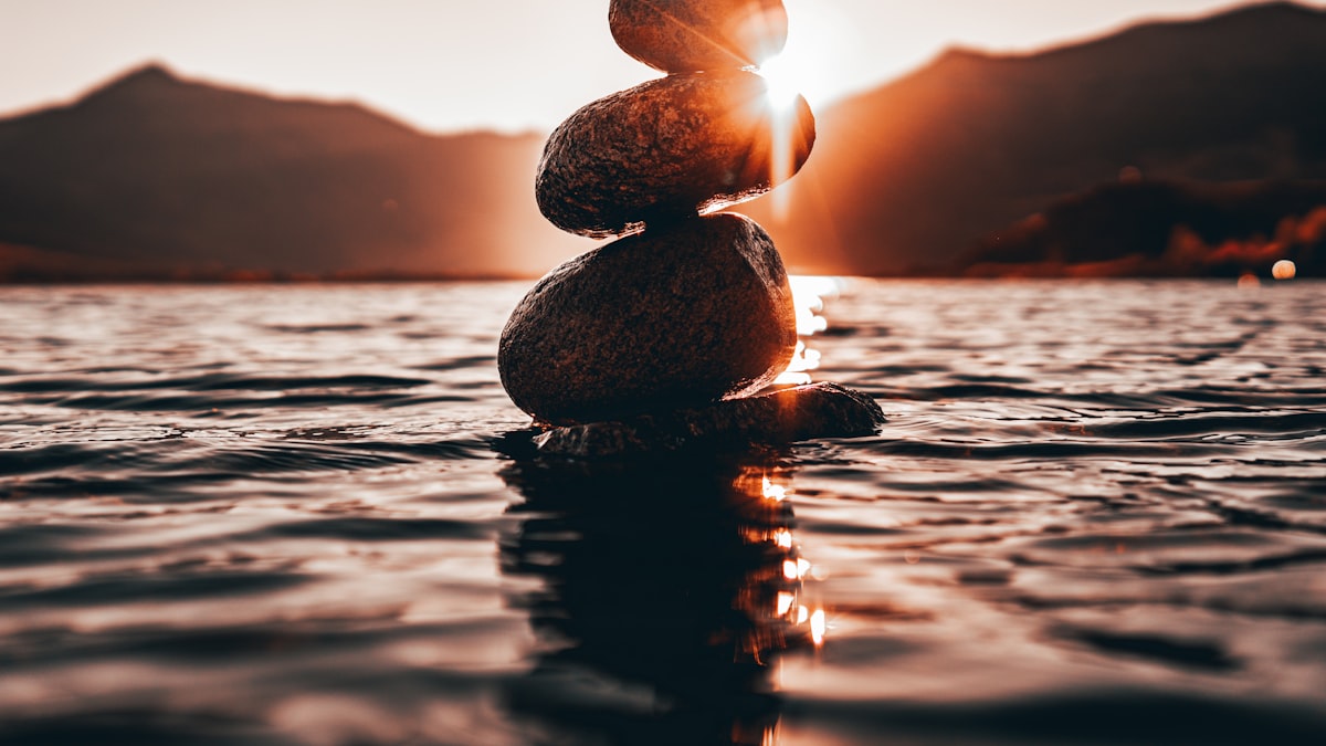Novelty Seeking – Balancing Traits