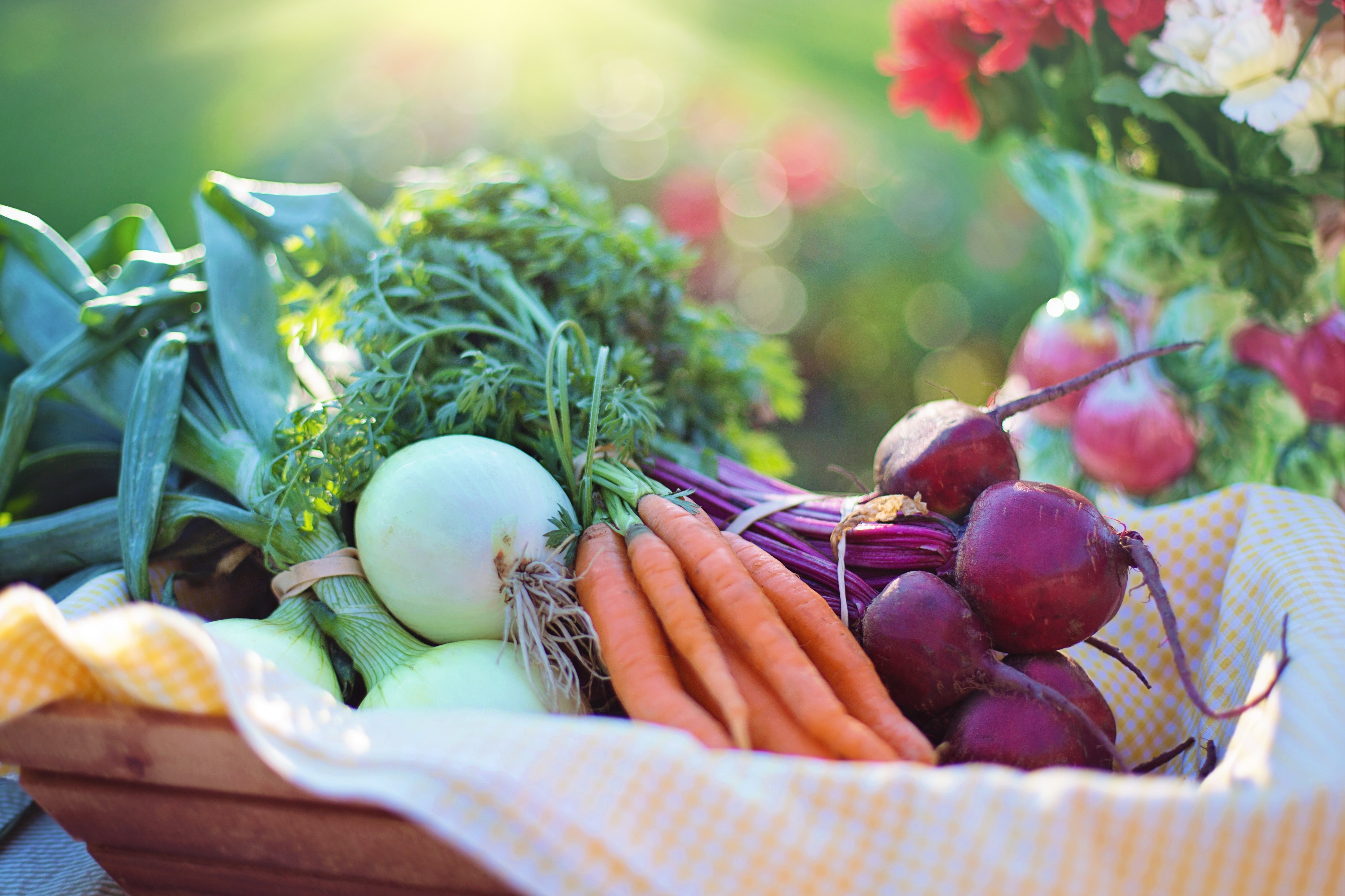 Build Resilience Through Nutrition