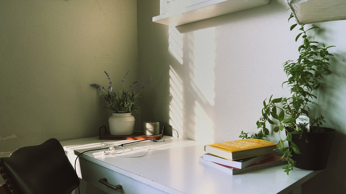 What Do Our Brains Need In Order To Learn/ Work Well?