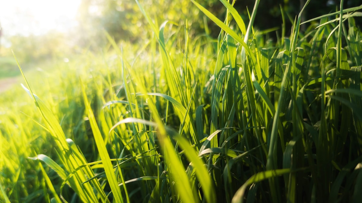 It’s Summer… Again!