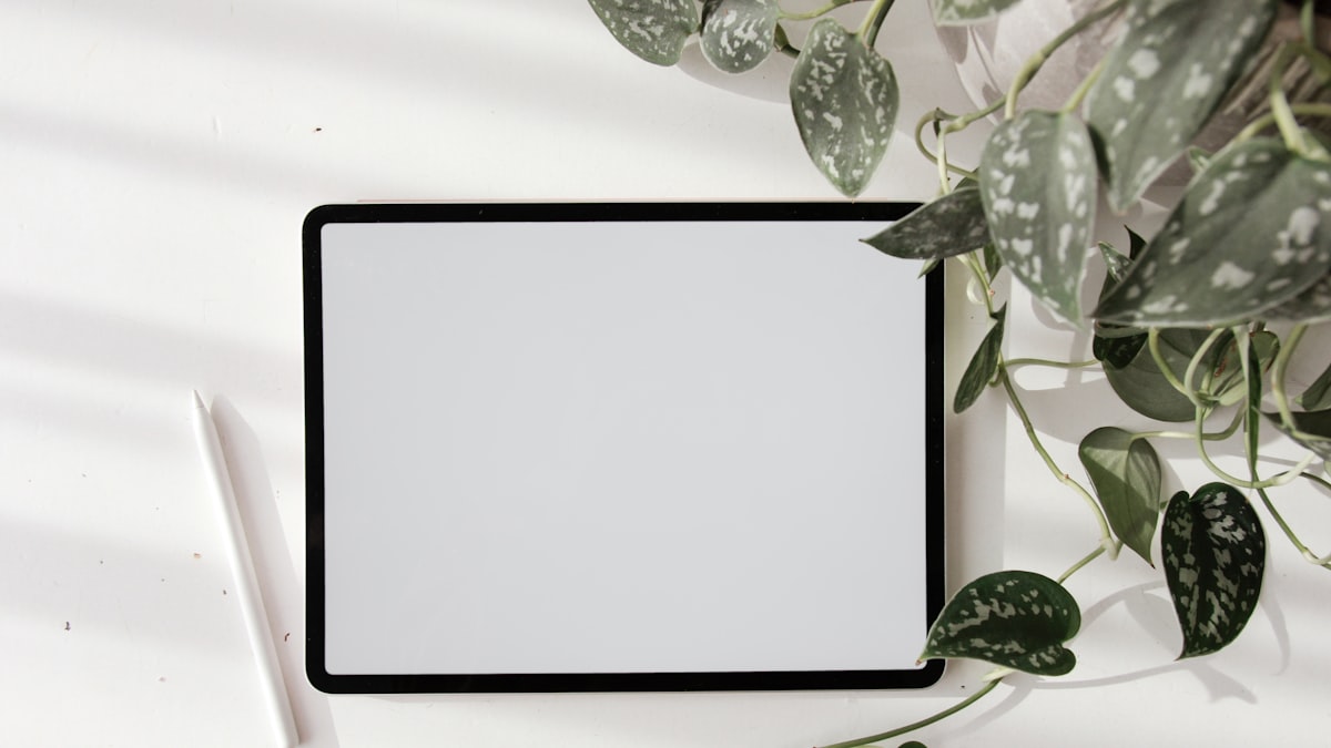 iPad App for Autism